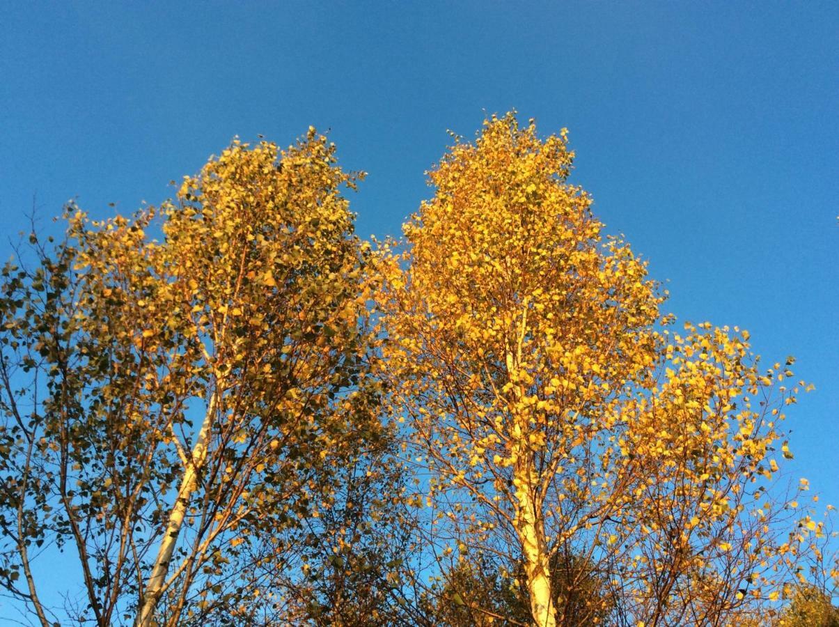 Mysig Och Modern Stuga Pa Snoegard, Naera Havet Och Naturen Lur  ภายนอก รูปภาพ